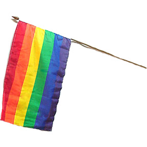 Rainbow Flag On A Stick